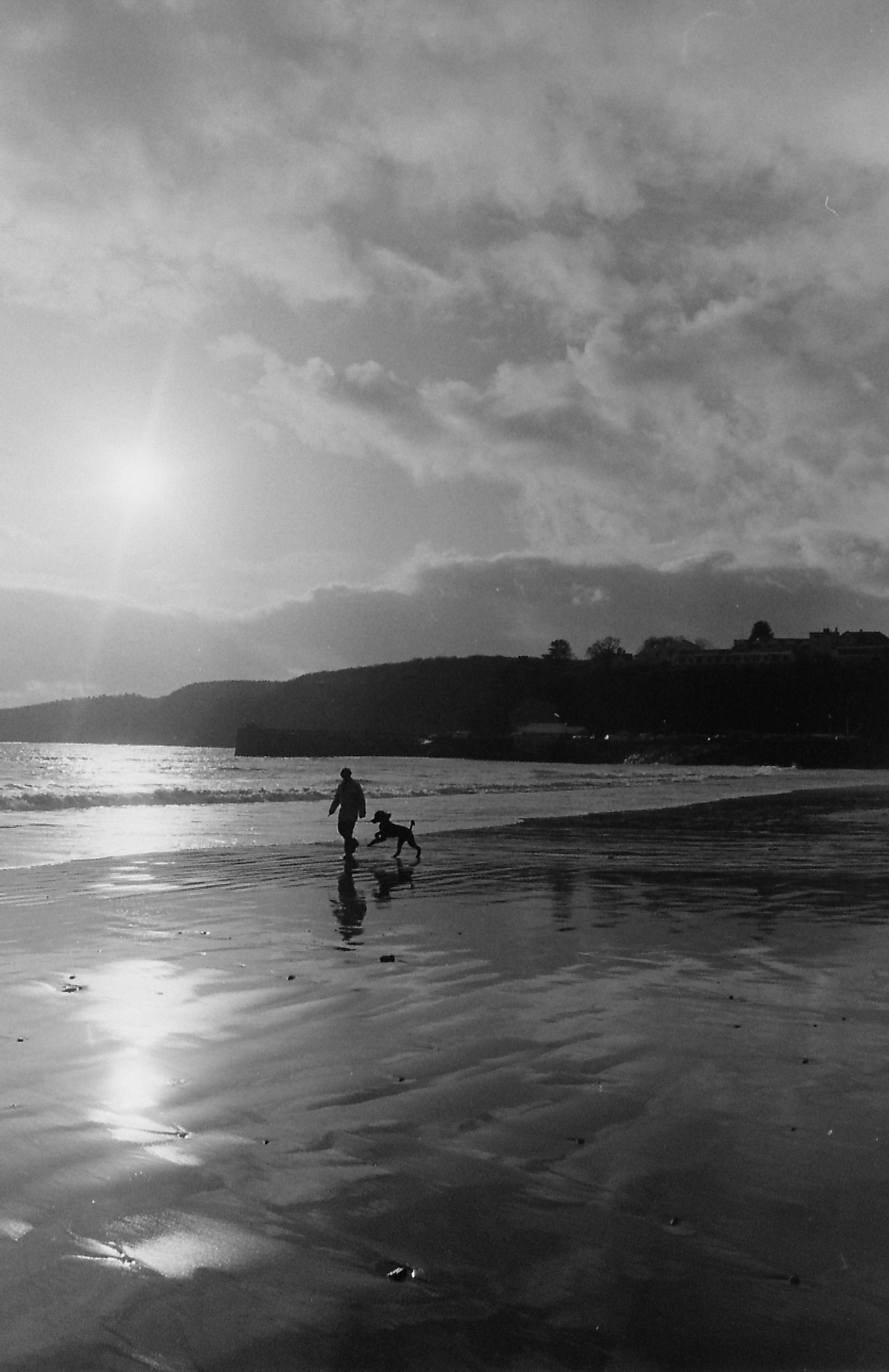 E0000914_Dog on the beach.JPG   /guest/guest/Images/Saundersfoot/E0000914_Dog on the beach.JPG